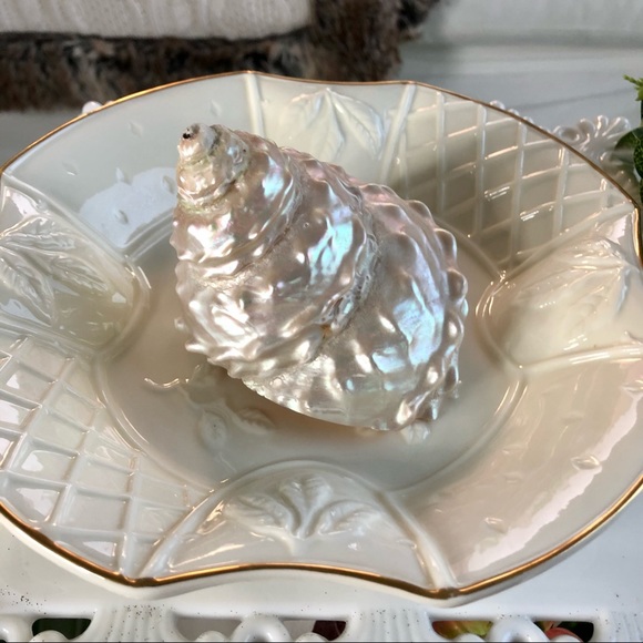 Fitz & Floyd Open Candy Dish Serving Bowl Botanical Collection - Picture 4 of 8